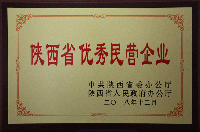 陜西省優(yōu)秀民營企業(yè)