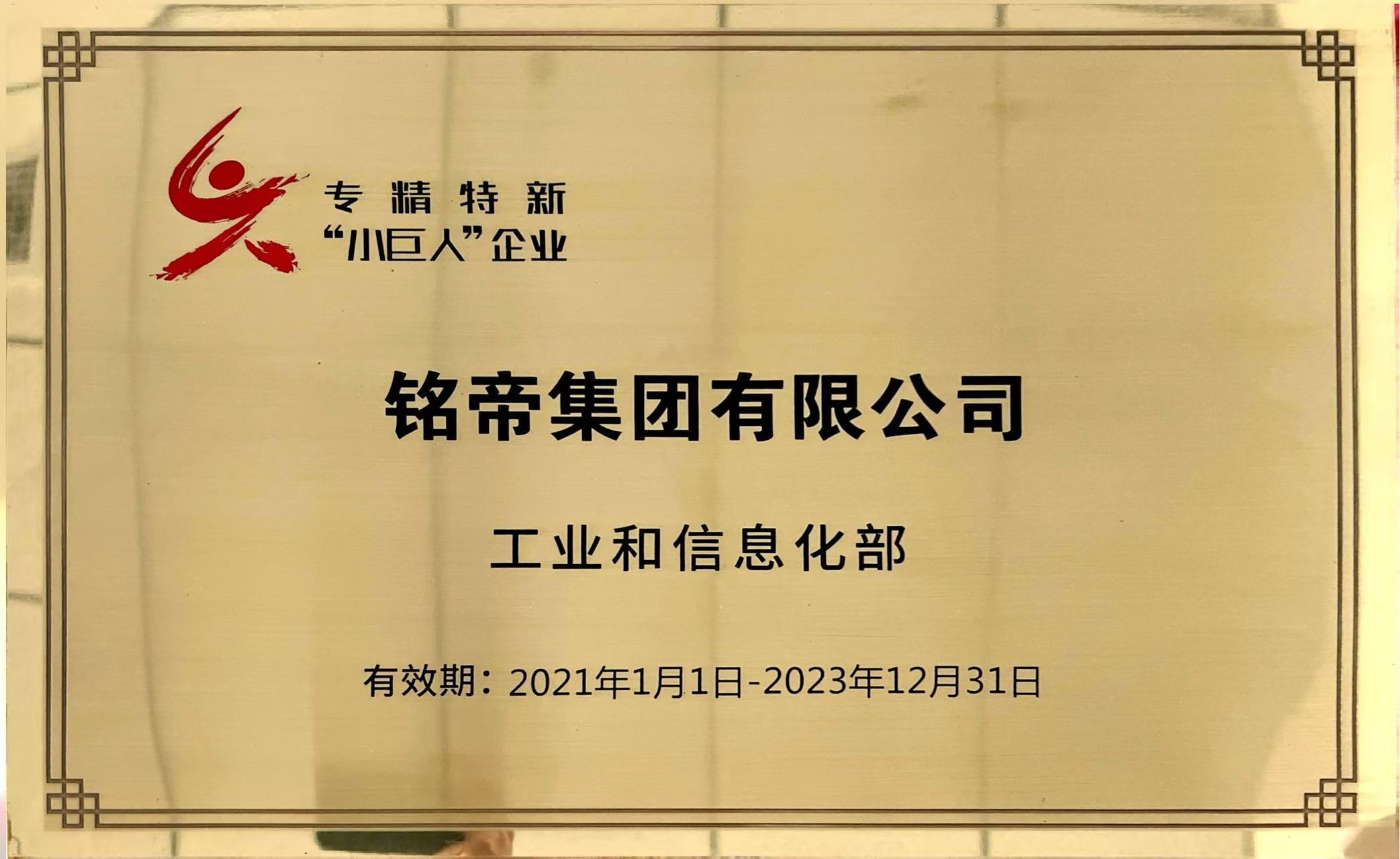 專精特新“小巨人”企業(yè)